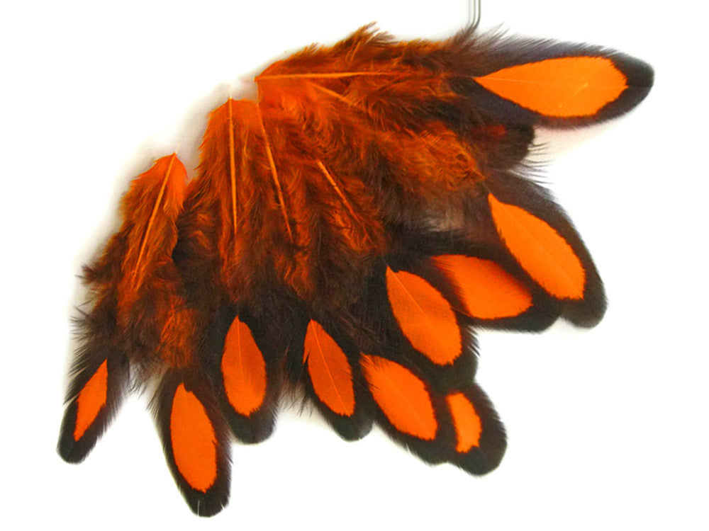 1 Dozen - Orange Whiting Farms Laced Hen Saddle Feathers