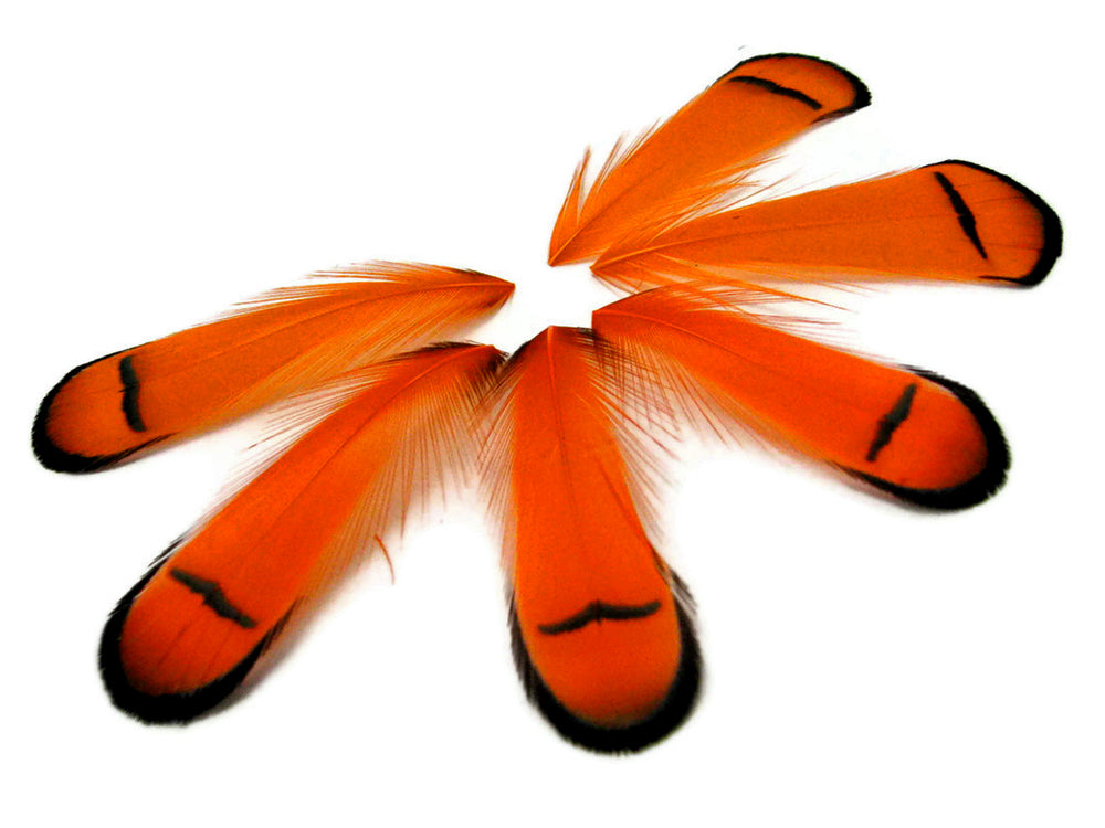 1 Dozen - Dyed Orange Lady Amherst Pheasant Tippet Feather