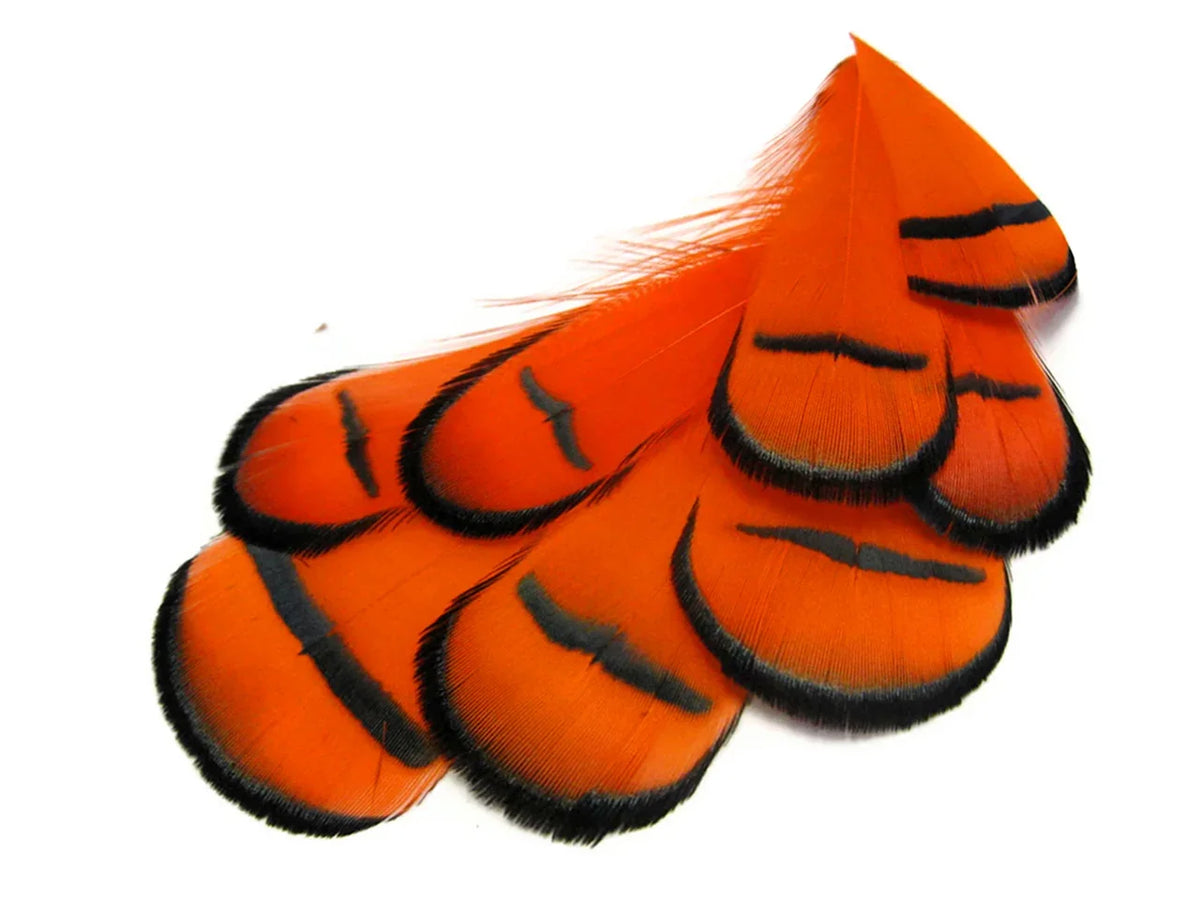 Vibrant orange feathers with black stripe patterns for craft and fashion DIY supplies.