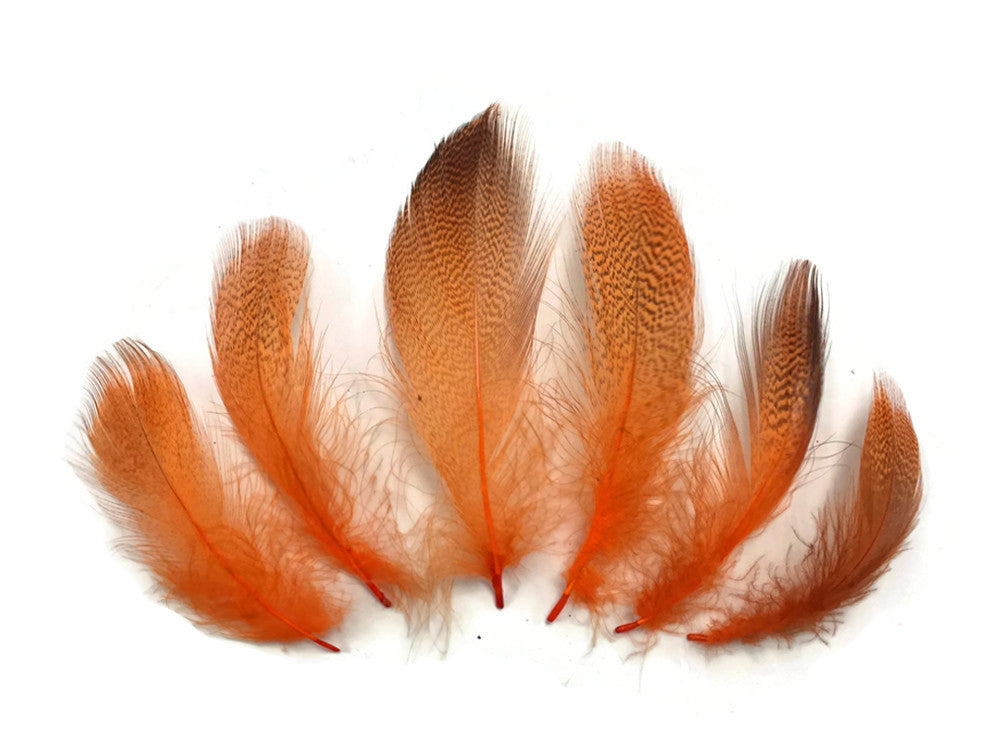 1 Pack - Orange Mallard Duck Flank Feathers 0.10 Oz.