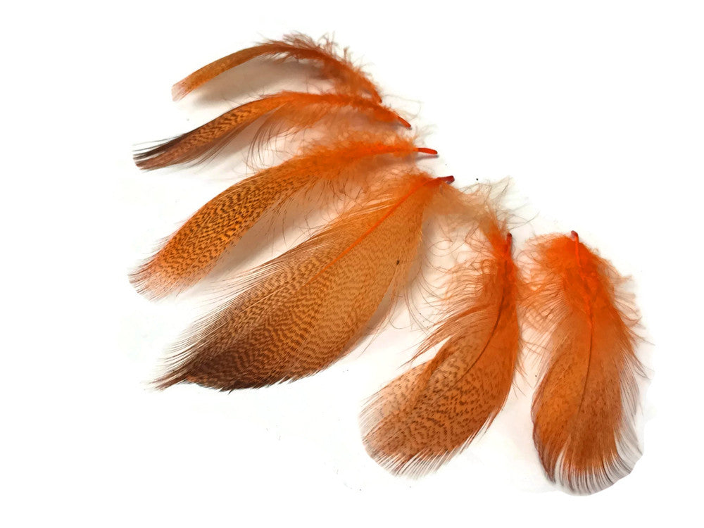 1 Pack - Orange Mallard Duck Flank Feathers 0.10 Oz.