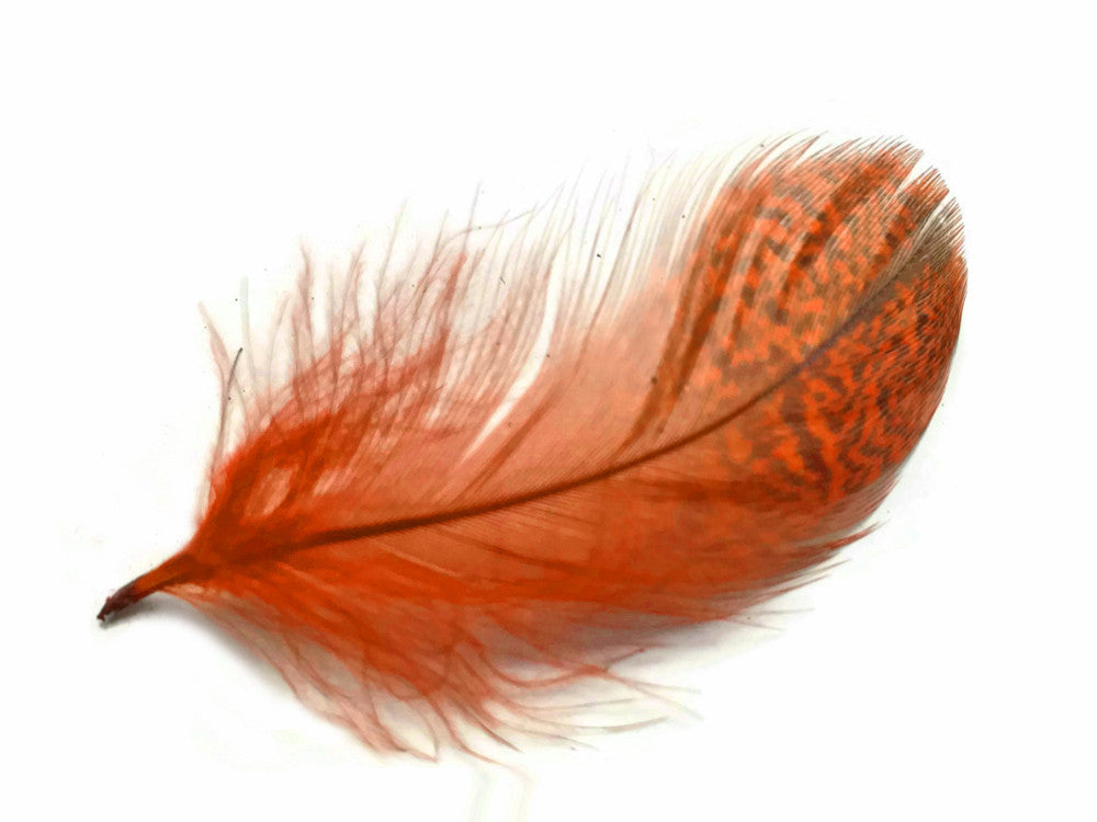 1 Pack - Orange Mallard Duck Flank Feathers 0.10 Oz.