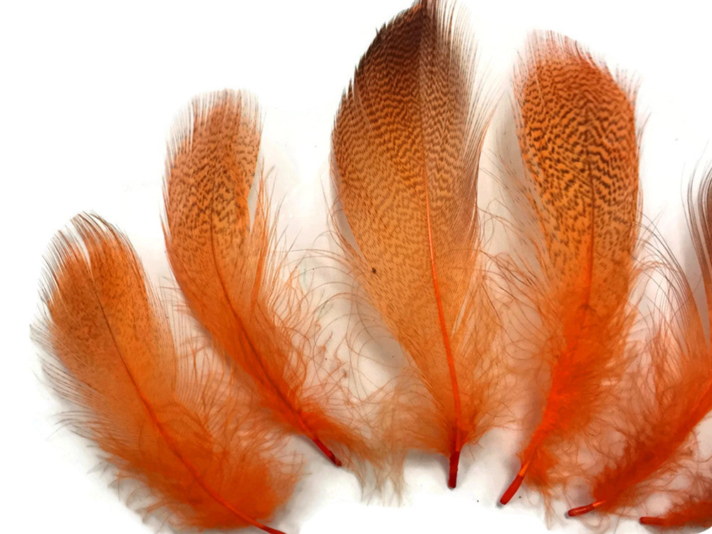 1 Pack - Orange Mallard Duck Flank Feathers 0.10 Oz.