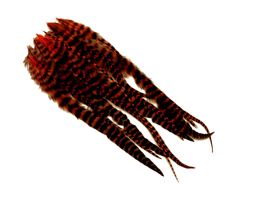 1 Dozen - Medium Orange Grizzly Rooster Saddle Whiting Hair Extension Feathers