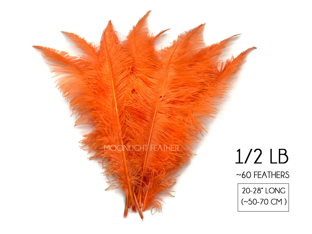 1/2 Lb - Orange Large Ostrich Spads Wholesale Feathers 20-28" (Bulk)