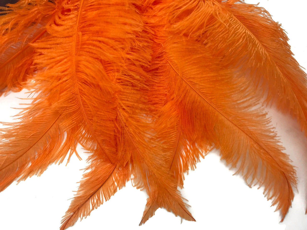 1/2 Lb - Orange Large Ostrich Spads Wholesale Feathers 20-28" (Bulk)