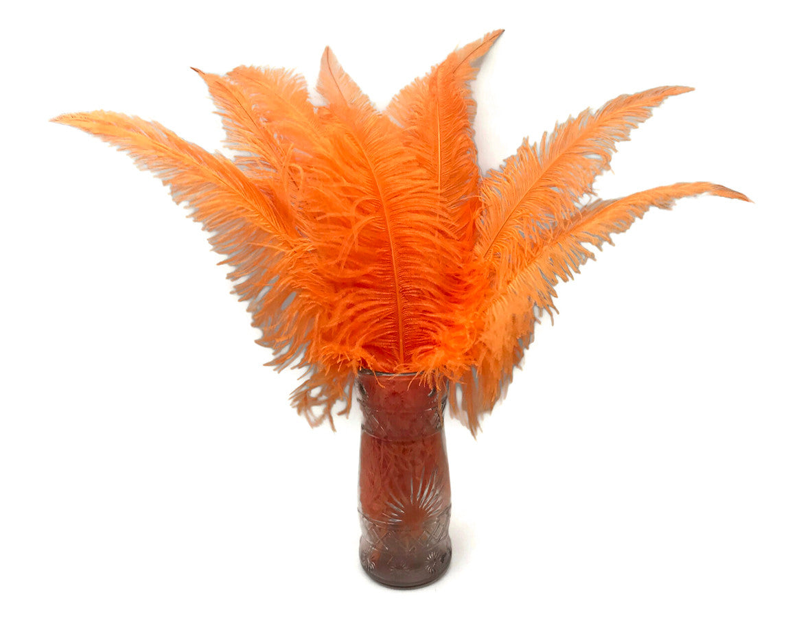 10 Pieces - 20-28" Orange Ostrich Spads Large Wing Feathers