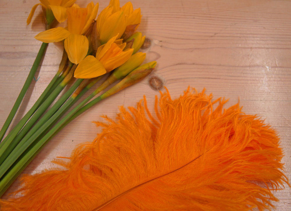 10 Pieces -  12-16" Orange Dyed Ostrich Tail Fancy Feathers