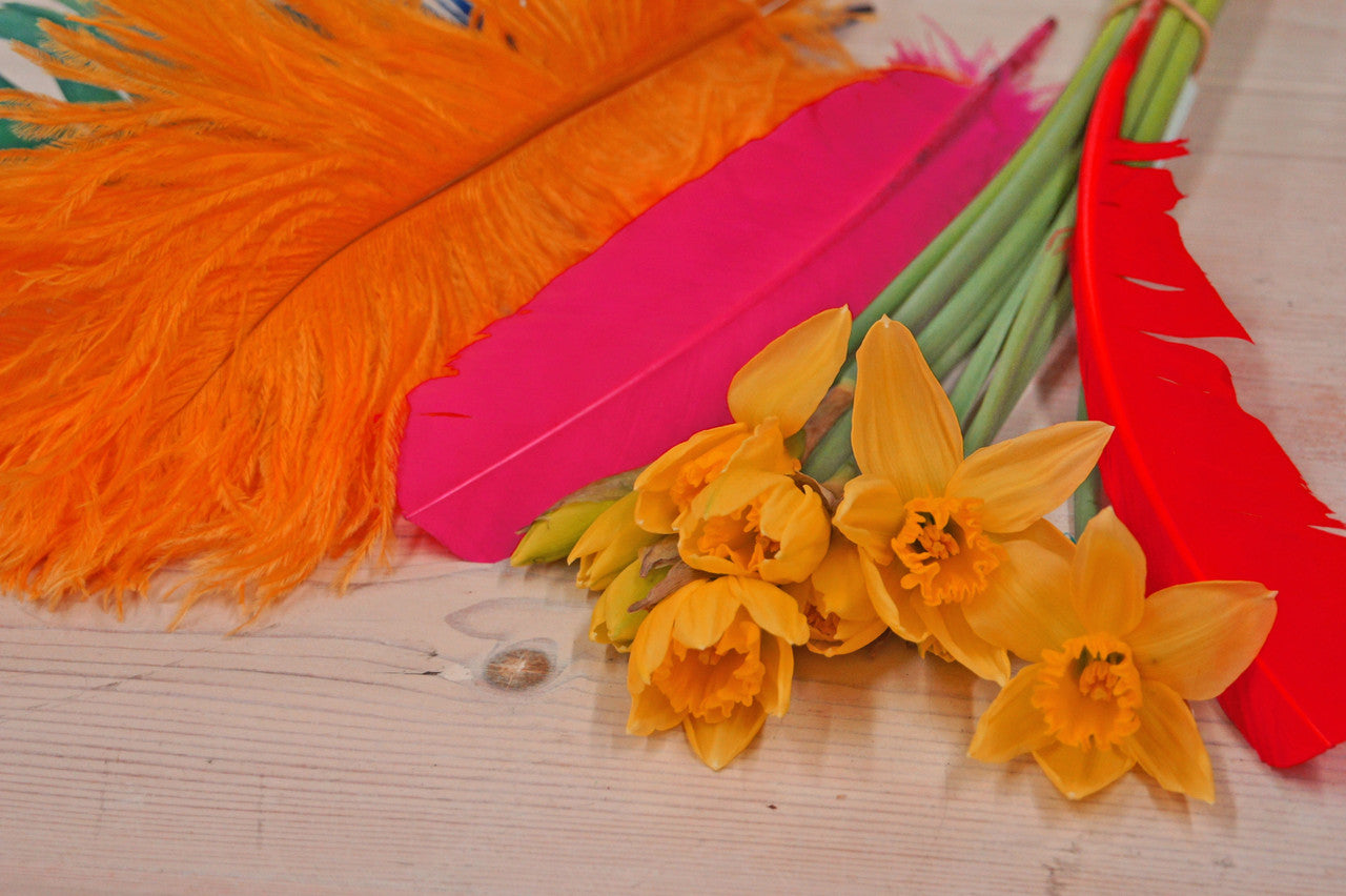 10 Pieces -  12-16" Orange Dyed Ostrich Tail Fancy Feathers