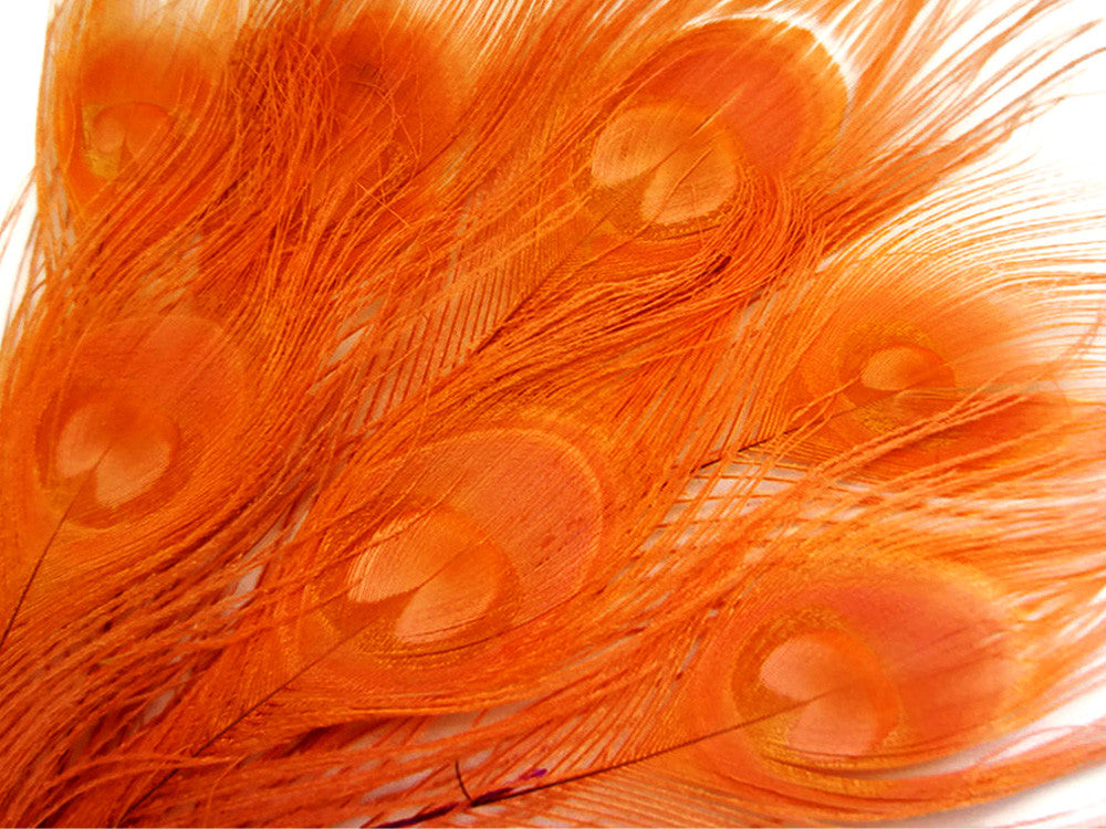 5 Pieces – Orange Bleached & Dyed Peacock Tail Eye Feathers 10-12” Long 