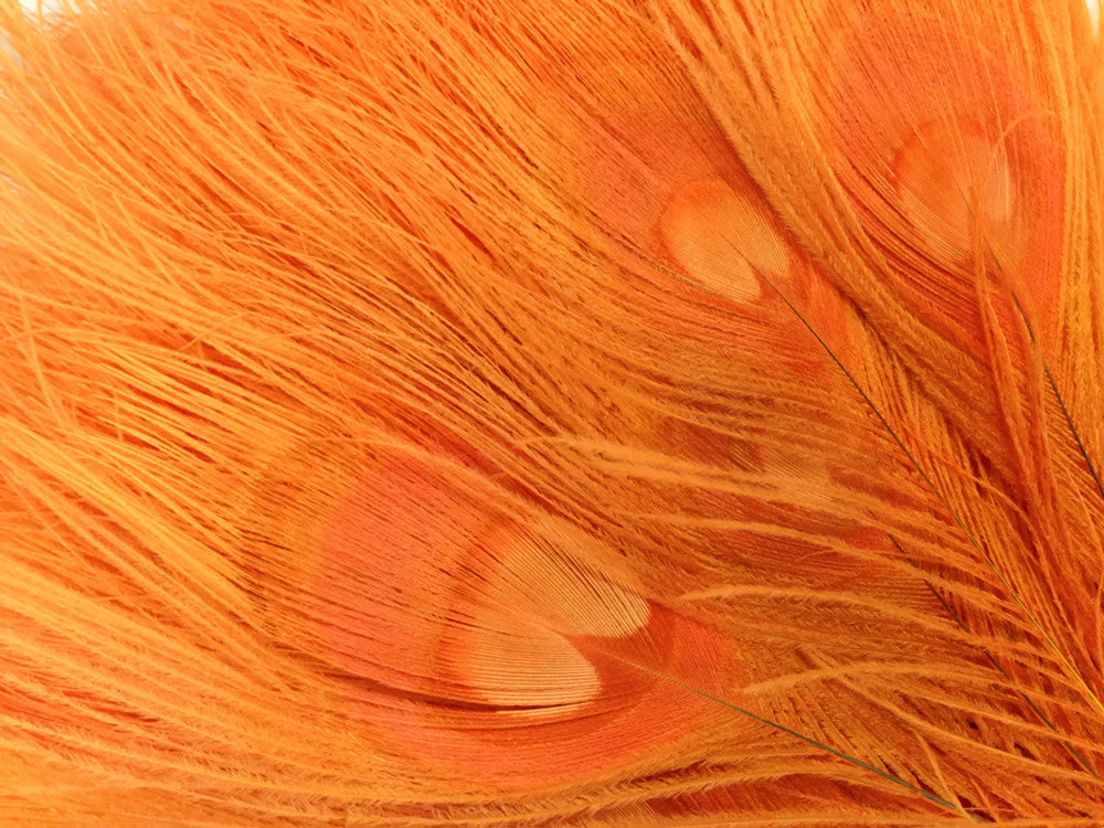 50 Pieces – Orange Bleached & Dyed Peacock Tail Eye Wholesale Feathers (Bulk) 10-12” Long 