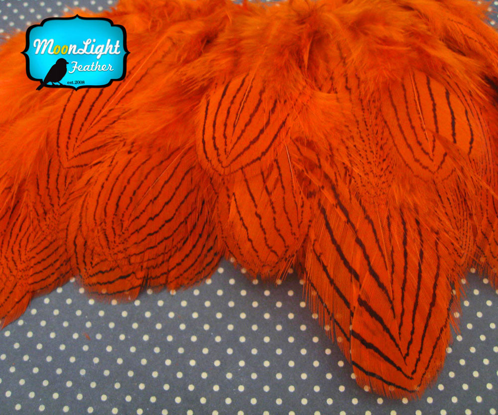 1 Dozen - Orange Silver Pheasant Plumage Feathers