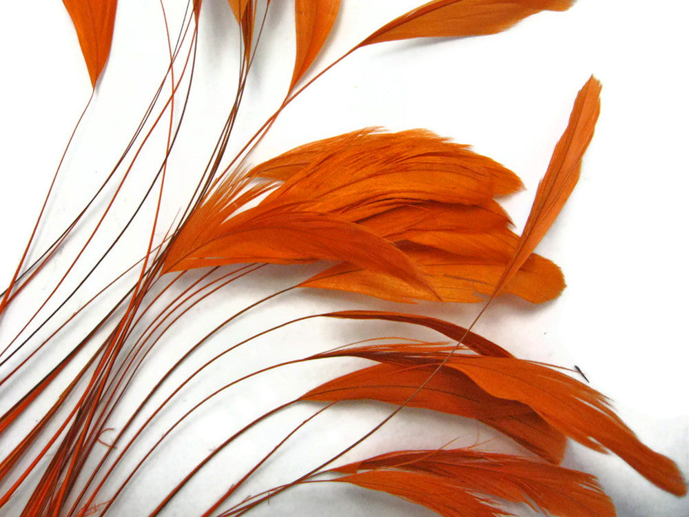 1 Dozen - Orange Stripped Rooster Coque Tail Feathers