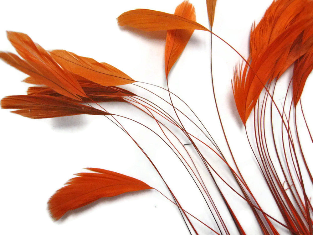 1 Dozen - Orange Stripped Rooster Coque Tail Feathers