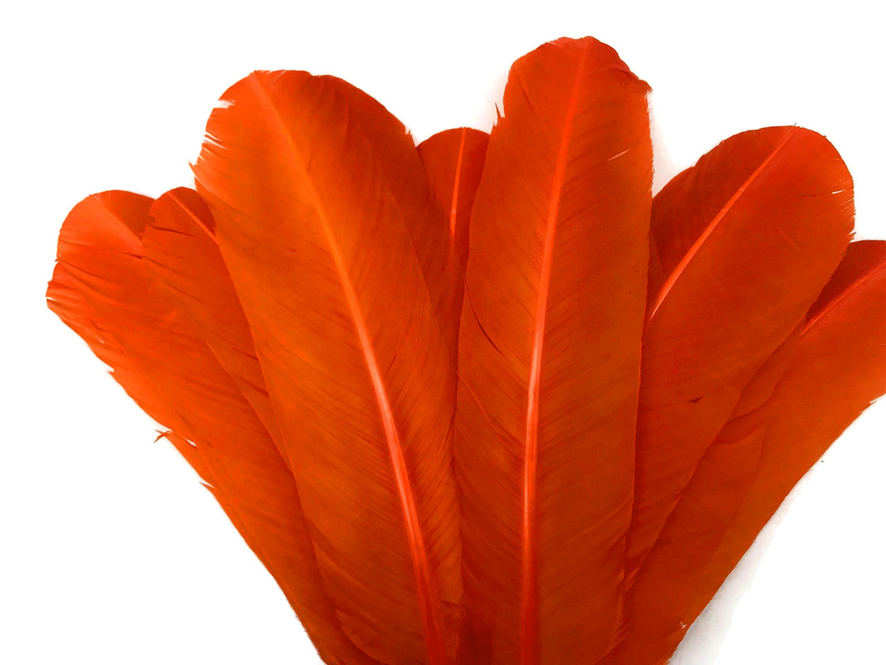 1/4 Lb - Orange Turkey Tom Rounds Secondary Wing Quill Wholesale Feathers (Bulk)