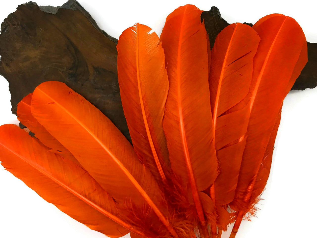 1 Lb. - Orange Turkey Tom Rounds Secondary Wing Quill Wholesale Feathers (Bulk)