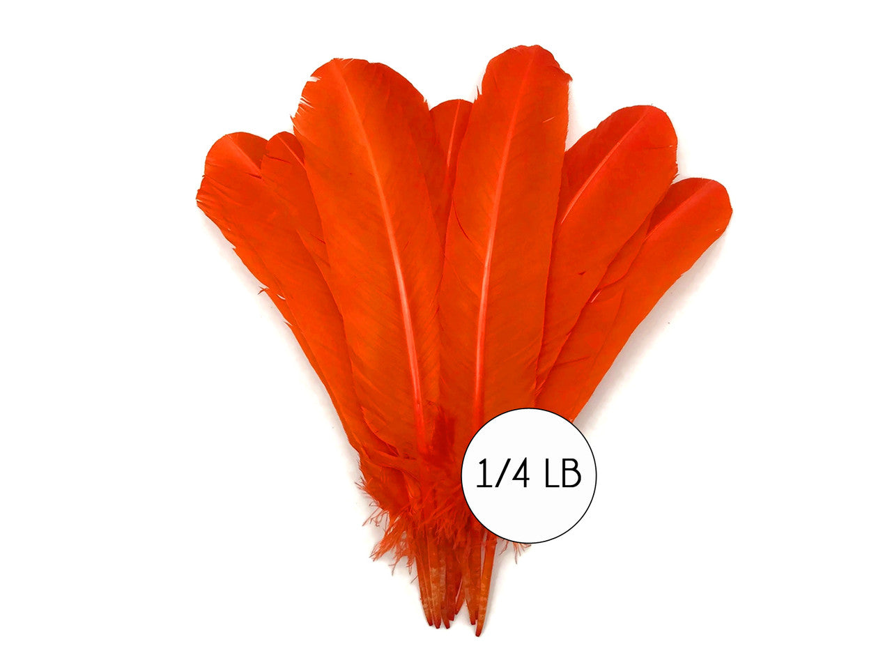 1/4 Lb - Orange Turkey Tom Rounds Secondary Wing Quill Wholesale Feathers (Bulk)