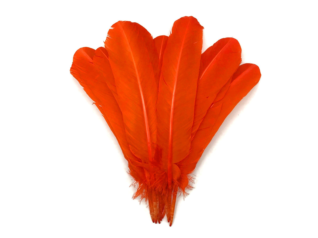 6 Pieces - Orange Turkey Rounds Secondary Wing Quill Feathers