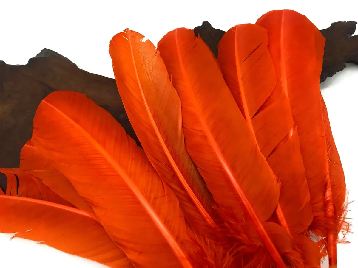 Vibrant orange craft feathers for DIY fashion and decor projects.