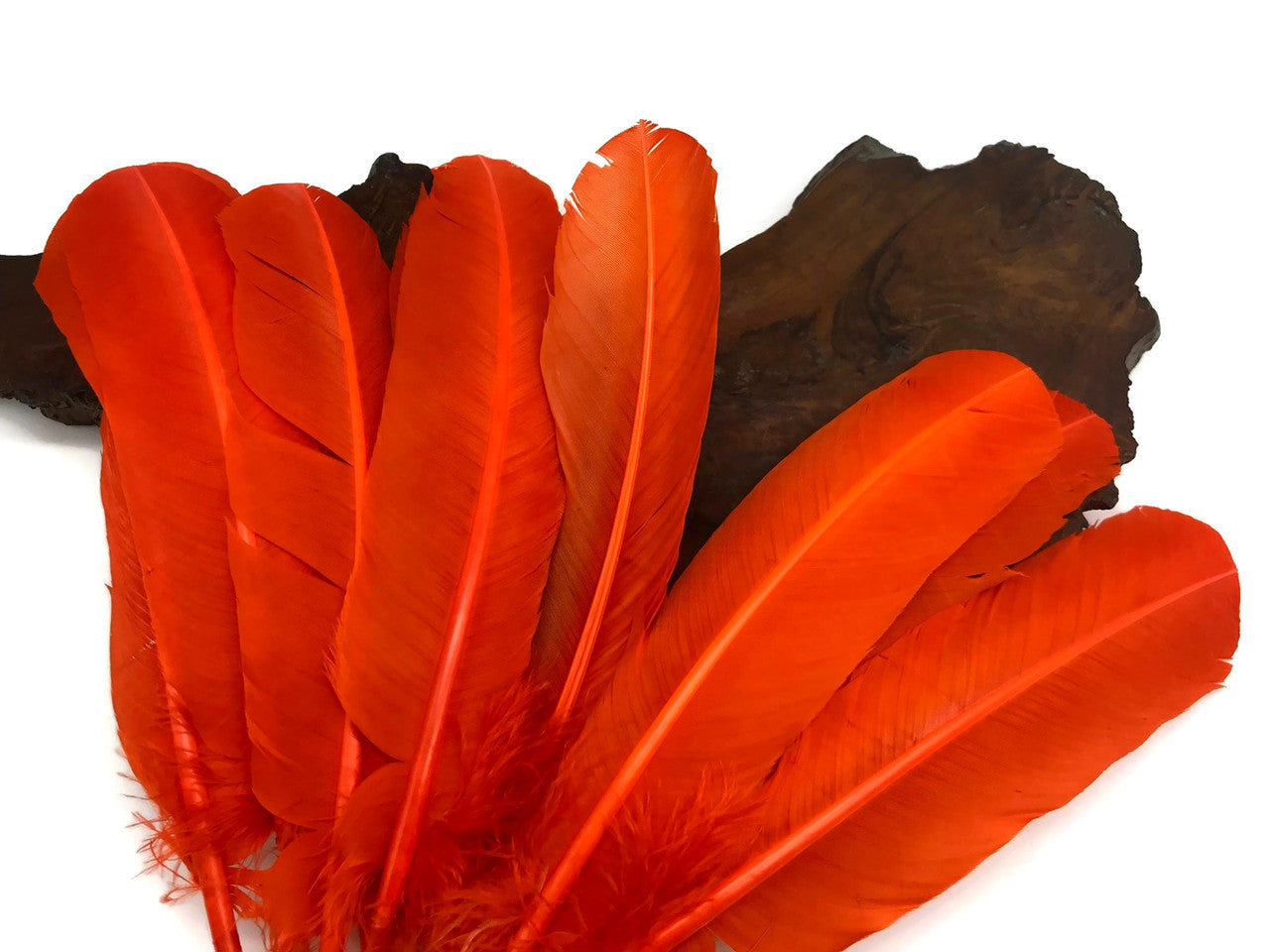 1 Lb. - Orange Turkey Tom Rounds Secondary Wing Quill Wholesale Feathers (Bulk)