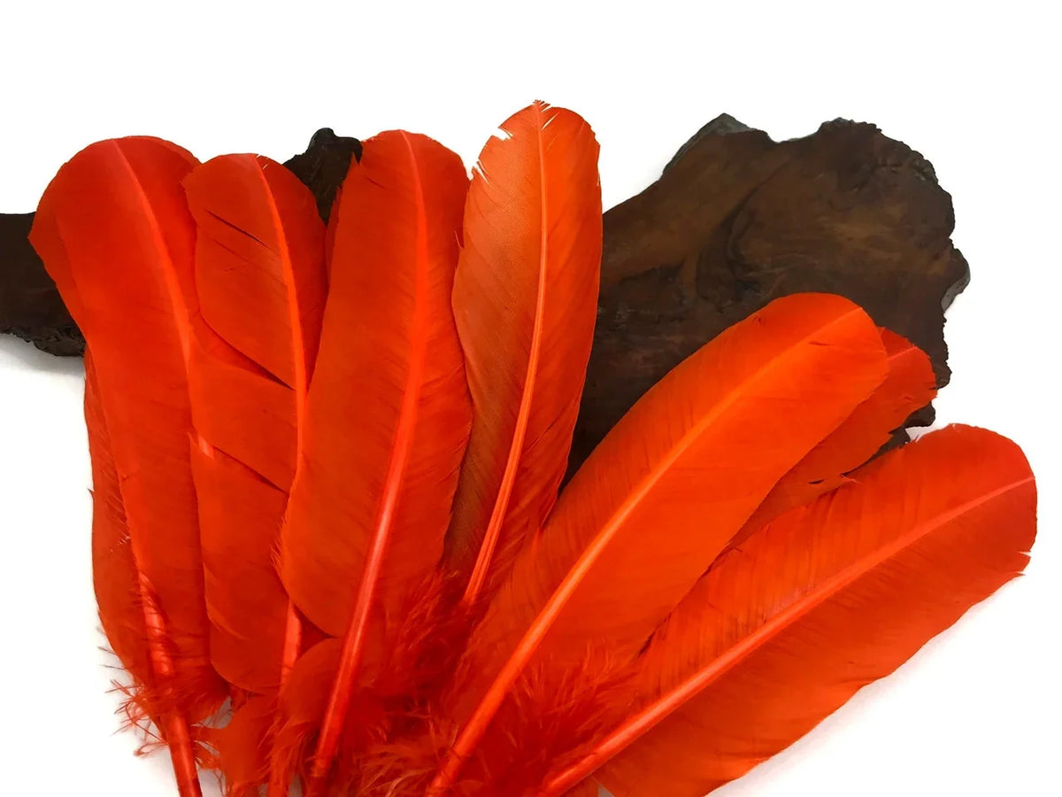 Vibrant orange craft feathers arranged on a dark natural stone background.