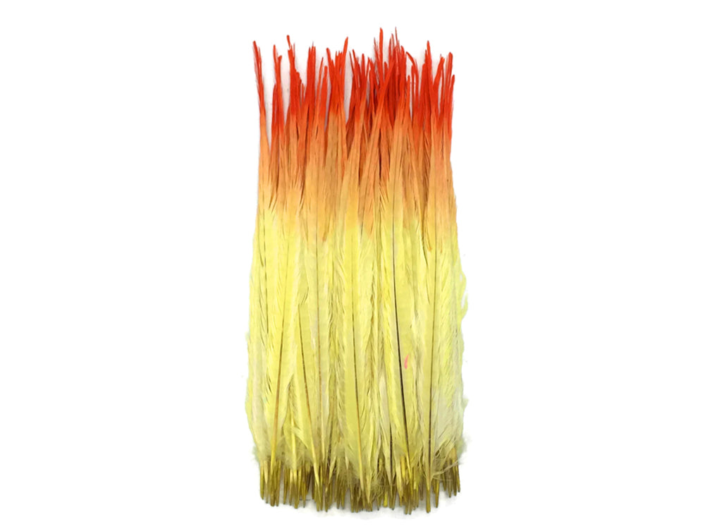 50 Pieces - 18-22" Orange Yellow Ombre Bleached & Dyed Long Ringneck Pheasant Tail Wholesale Feathers (Bulk)