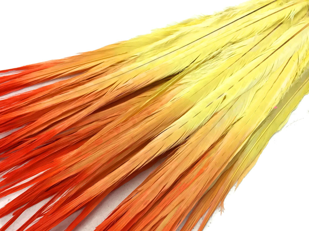 50 Pieces - 18-22" Orange Yellow Ombre Bleached & Dyed Long Ringneck Pheasant Tail Wholesale Feathers (Bulk)