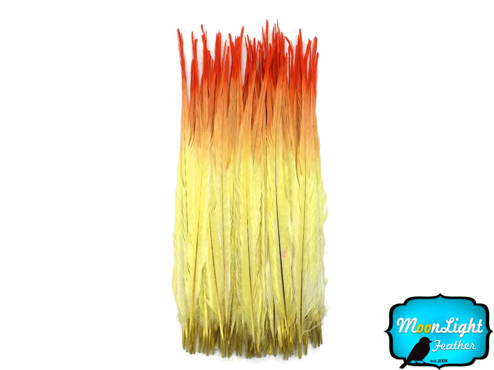 50 Pieces - 18-22" Orange Yellow Ombre Bleached & Dyed Long Ringneck Pheasant Tail Wholesale Feathers (Bulk)