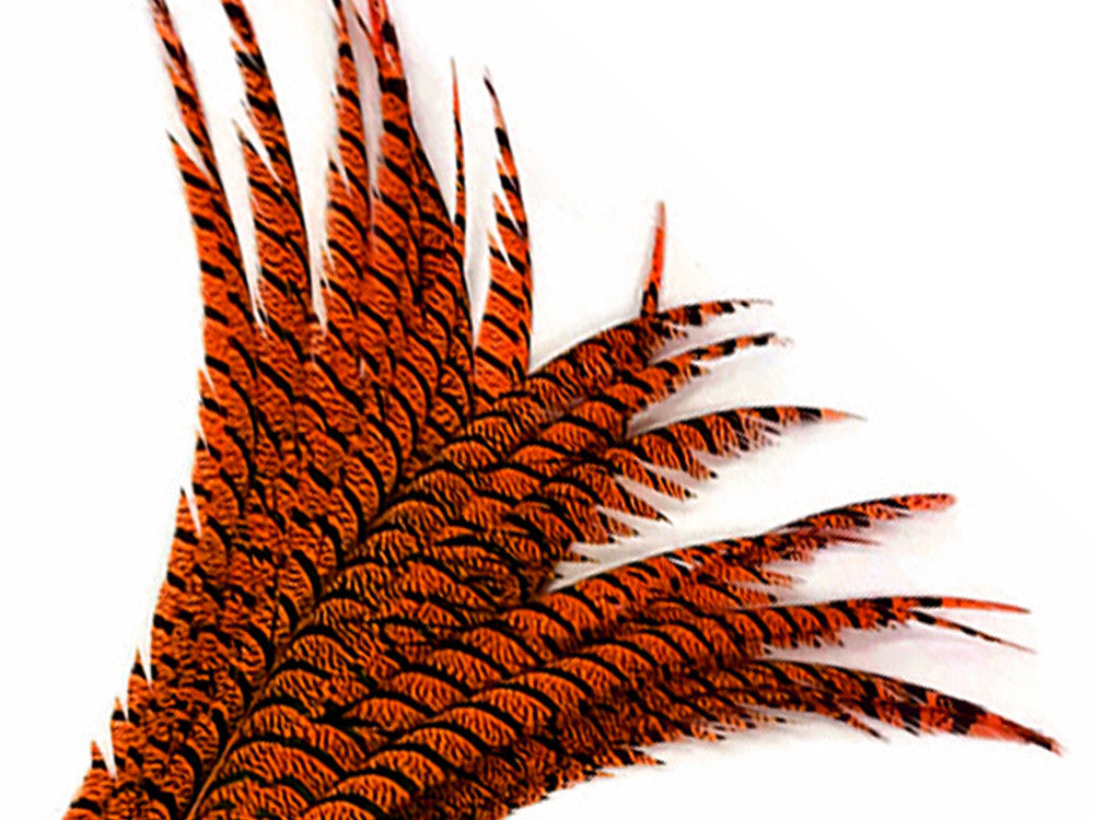 5 Pieces - 30-35" Orange Zebra Lady Amherst Pheasant Tail Super Long Feathers