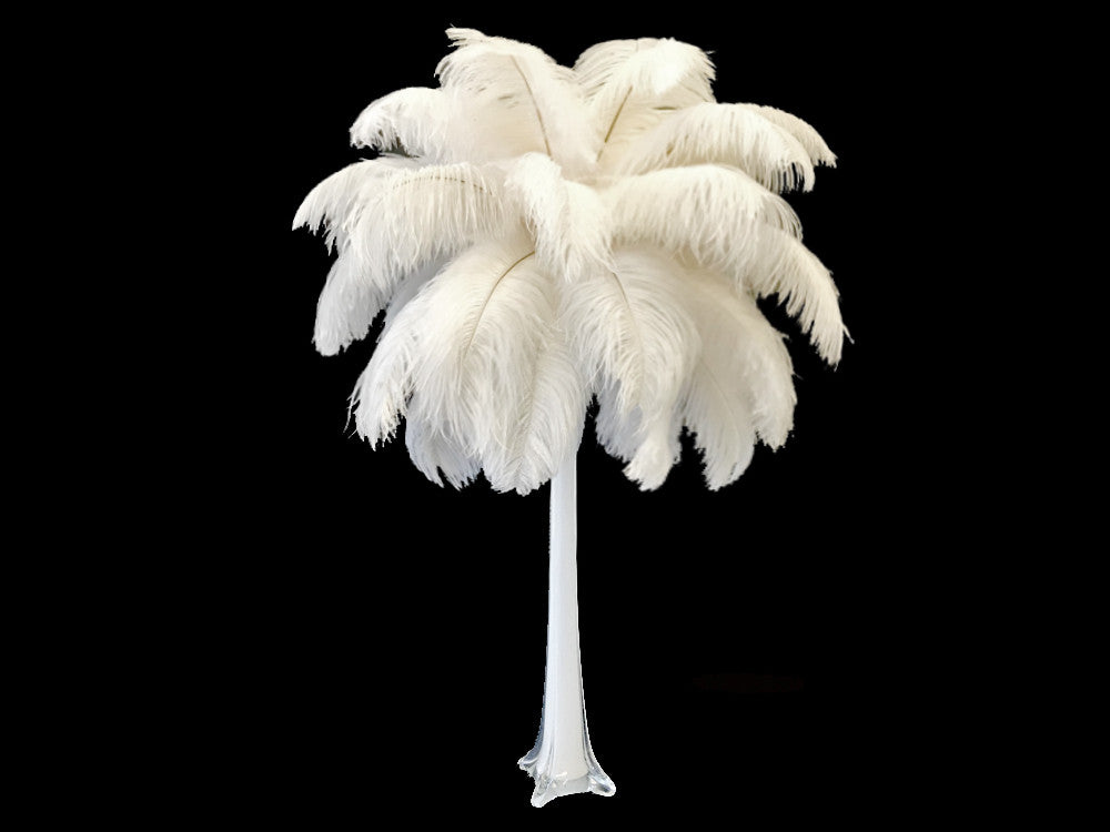 100 Pieces - 8-10" Bleached Off White Ostrich Drab Body Wholesale Feathers (Bulk)