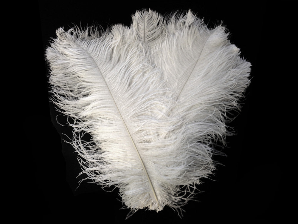 2 Pieces - 29-35" White X-Large Ostrich Wing Plumes Centerpiece Feathers