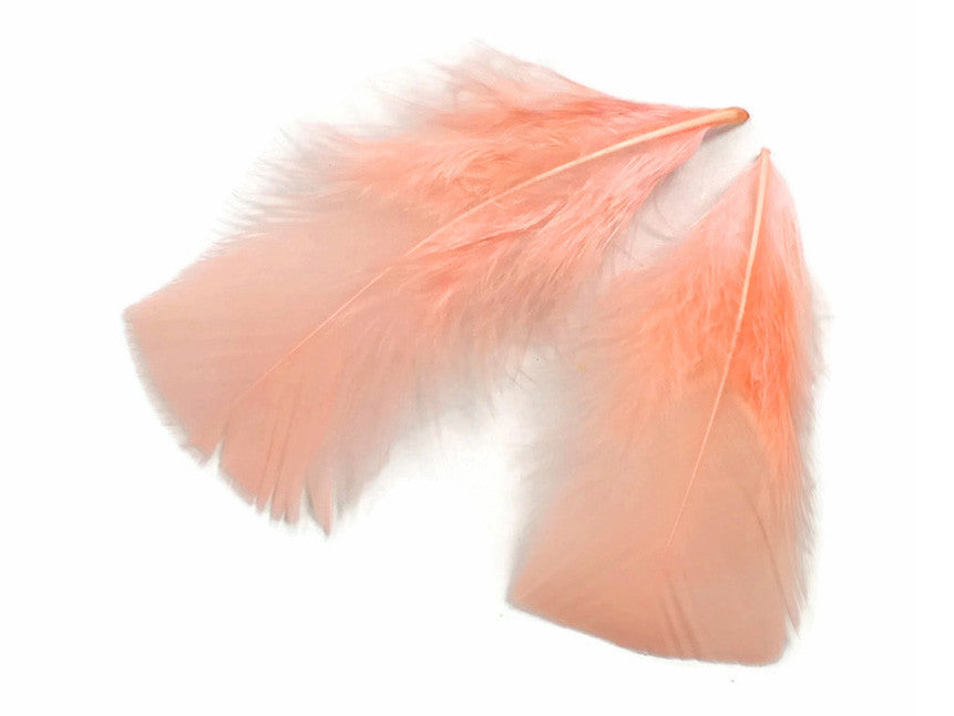 1/4 Lb - Peach Pink Turkey T-Base Plumage Wholesale Feathers (Bulk)