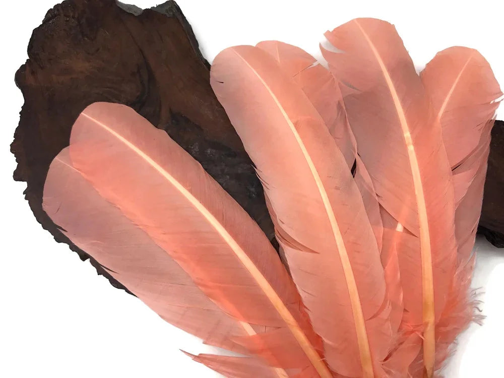 Large peach-colored decorative feathers for crafts and fashion DIY supplies.