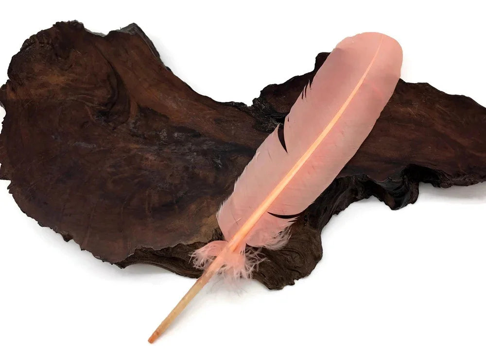 Soft pink craft feather resting on a dark rustic wood slice background.