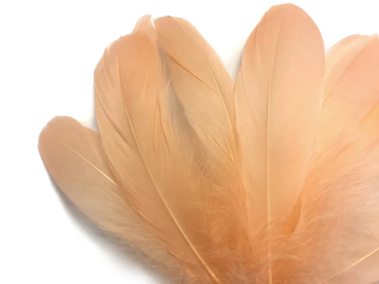 1 Pack - Peach Goose Nagoire Loose Feather - 0.25 Oz.