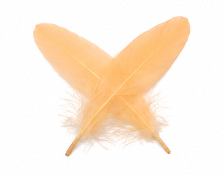 1/4 lbs. - Peach Goose Satinettes Pallet Soft Wing Quill Wholesale Feathers (Bulk)