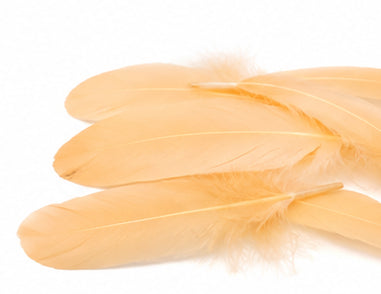 1/4 lbs. - Peach Goose Satinettes Pallet Soft Wing Quill Wholesale Feathers (Bulk)