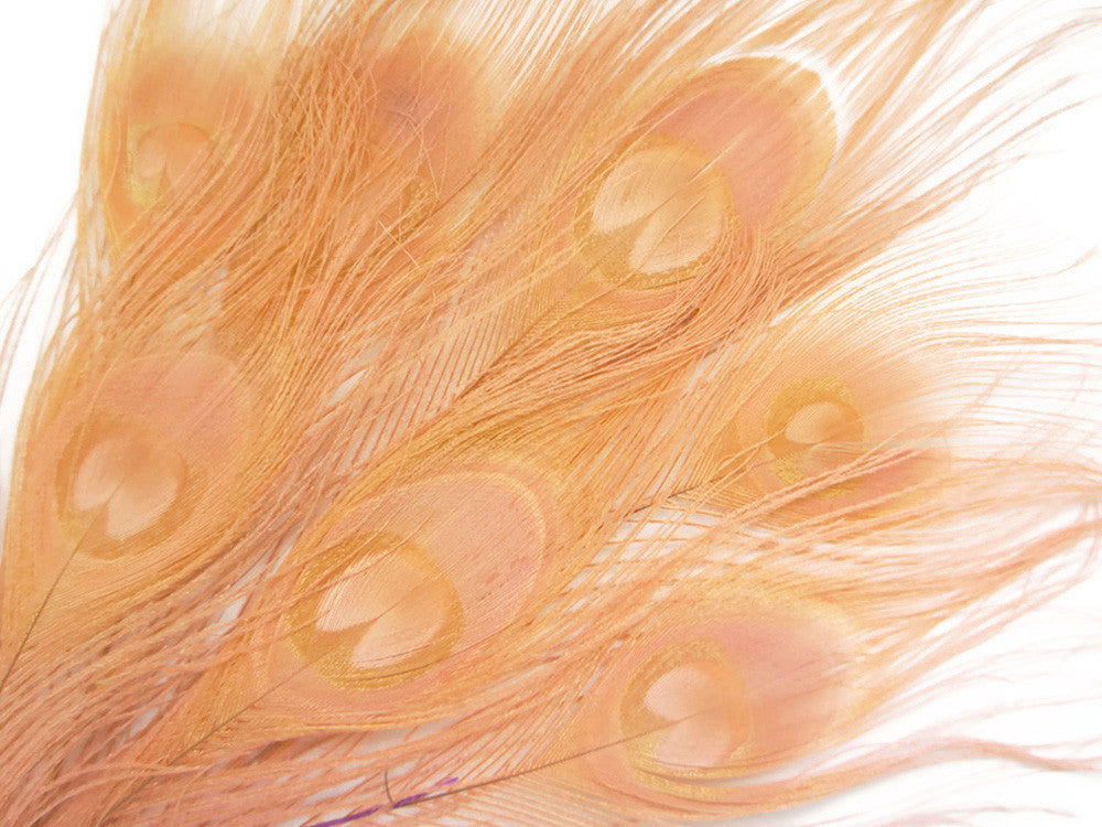 50 Pieces - Peach Pink Bleached And Dyed Peacock Tail Eye Wholesale Feathers (Bulk)