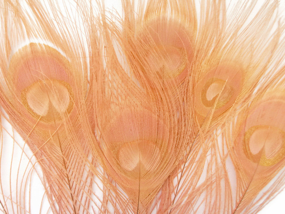 50 Pieces - Peach Pink Bleached And Dyed Peacock Tail Eye Wholesale Feathers (Bulk)