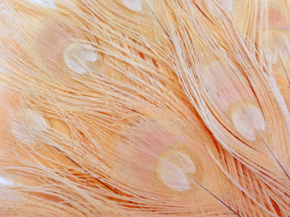 50 Pieces - Peach Pink Bleached And Dyed Peacock Tail Eye Wholesale Feathers (Bulk)