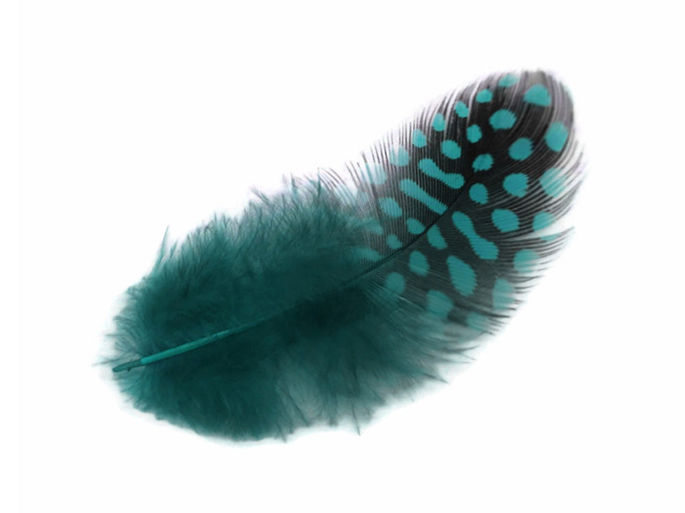 1/4 Lb - Peacock Blue Guinea Hen Plumage Polka Dot Feathers Wholesale (Bulk)