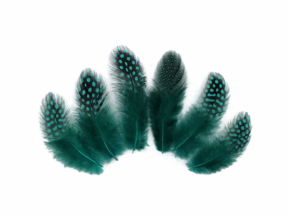1 Pack - Peacock Blue Guinea Hen Polka Dot Plumage Feathers 0.10 Oz.
