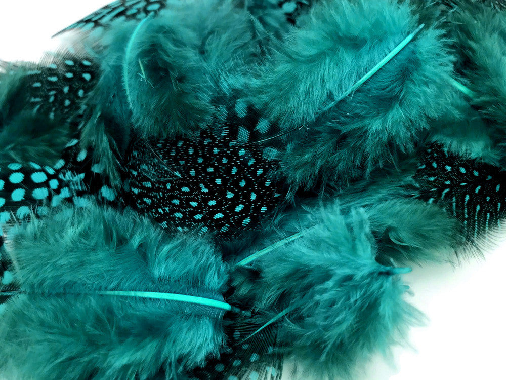 1 Pack - Peacock Blue Guinea Hen Polka Dot Plumage Feathers 0.10 Oz.