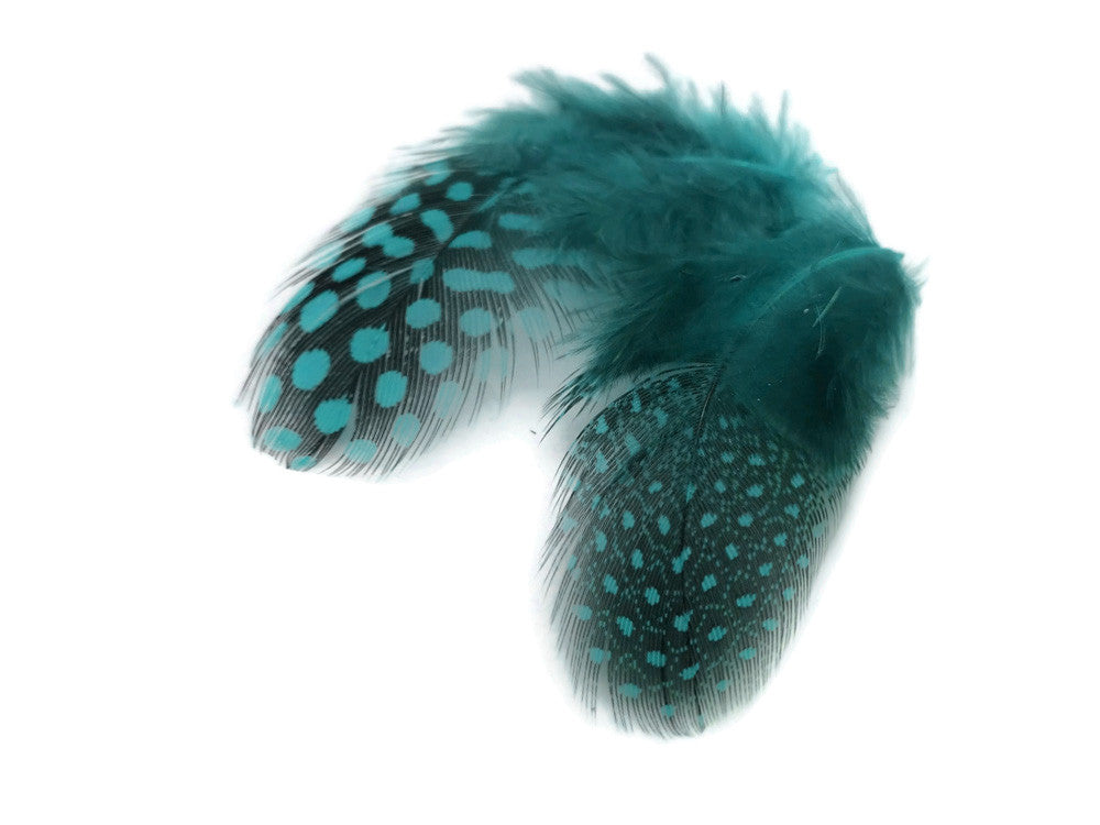 1/4 Lb - Peacock Blue Guinea Hen Plumage Polka Dot Feathers Wholesale (Bulk)