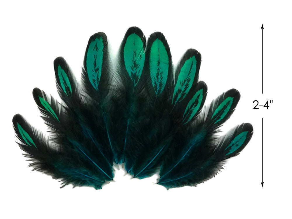 1 Dozen - Peacock Green Whiting Farms Laced Hen Saddle Feathers