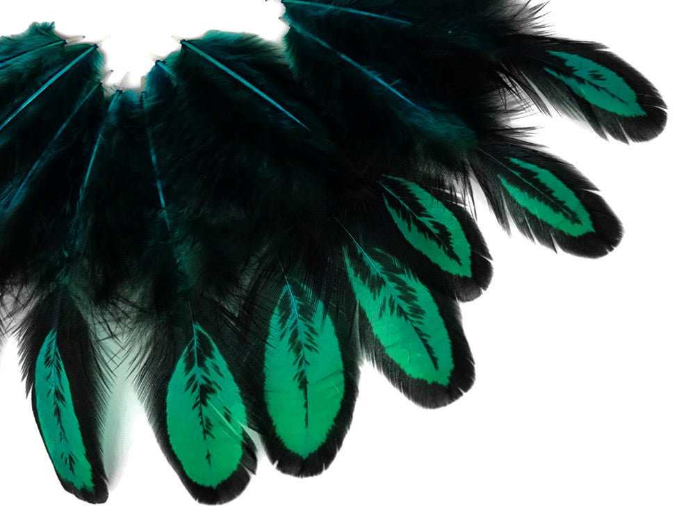 1 Dozen - Peacock Green Whiting Farms Laced Hen Saddle Feathers