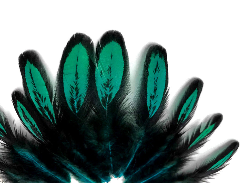 1 Dozen - Peacock Green Whiting Farms Laced Hen Saddle Feathers