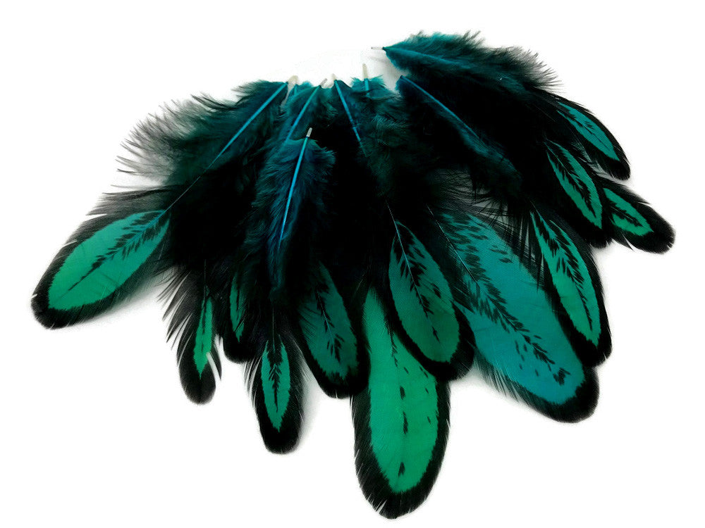 1 Dozen - Peacock Green Whiting Farms Laced Hen Saddle Feathers