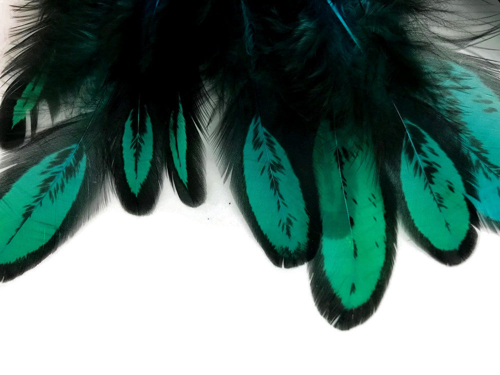 1 Dozen - Peacock Green Whiting Farms Laced Hen Saddle Feathers