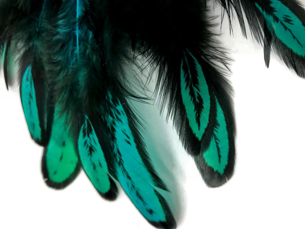 1 Dozen - Peacock Green Whiting Farms Laced Hen Saddle Feathers